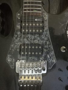 Fernandes Sustainer