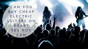 Can You Buy Cheap Electric Guitars on EBay- Yes You Can.