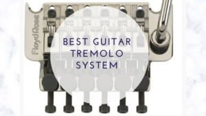 Best Guitar Tremolo System